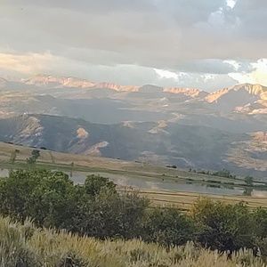 @FCARNER IS LIVE! Join us! 💜